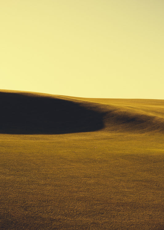 GREENSIDE STUDY / P910