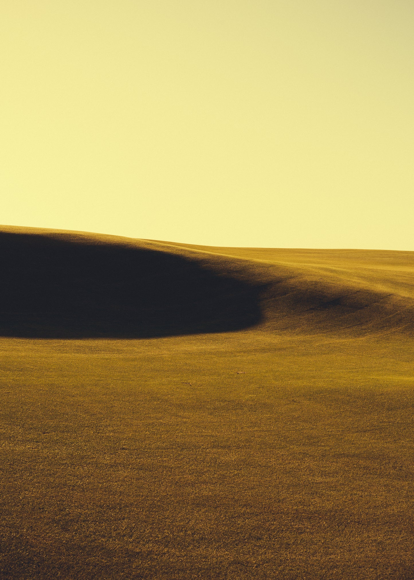 GREENSIDE STUDY / P910